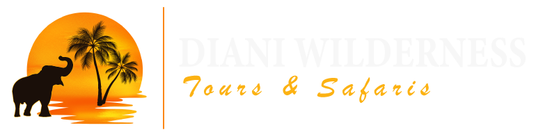 Diani Wilderness Logo