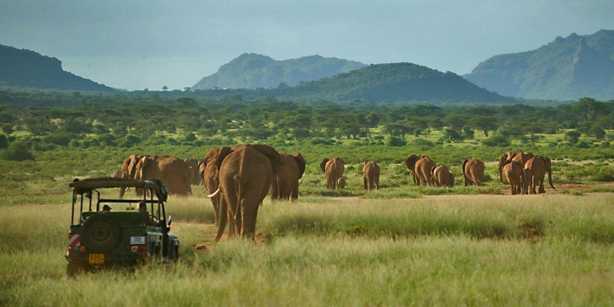 Samburu Special Five Safari
