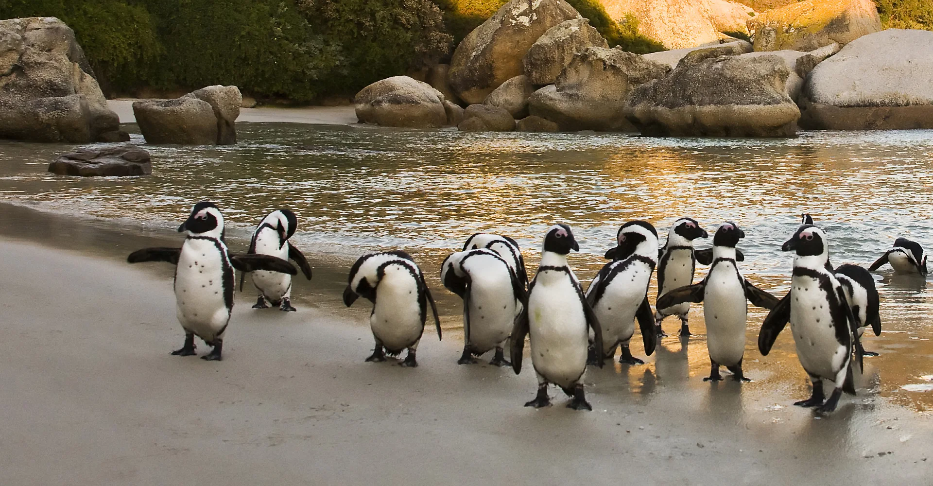 Cape Town Oceanfront